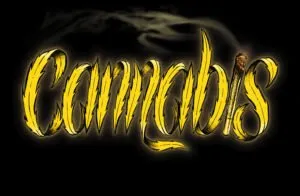 Cannabis
