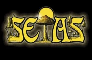 Setas