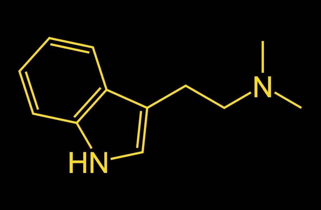 MDMA Energy Control